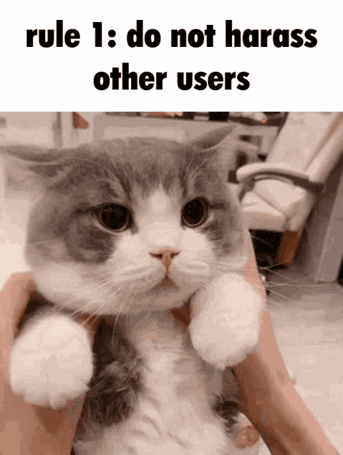 Rule 1 GIF