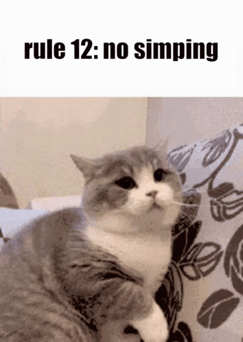 Rule 12 GIF