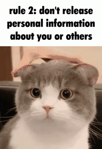 Rule 2 GIF