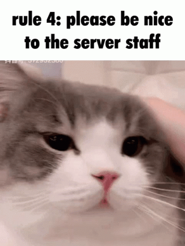Rule 4 GIF