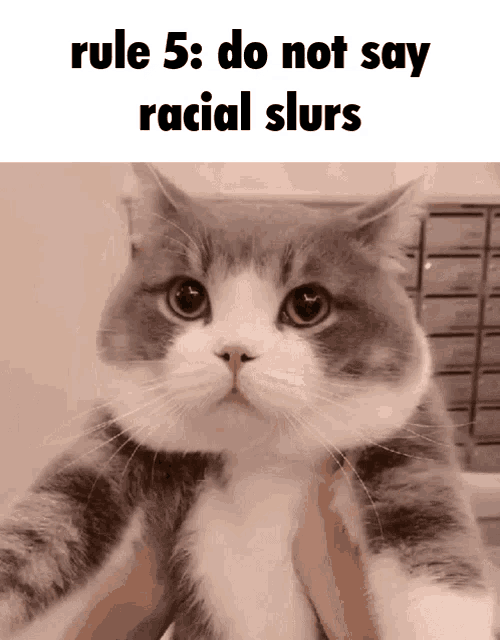 Rule 5 GIF