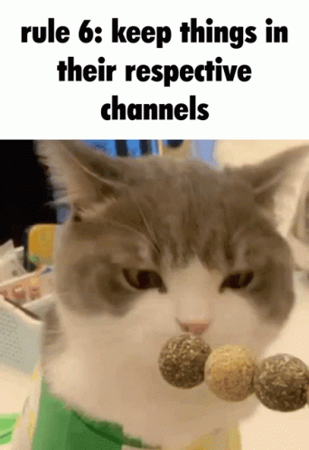 Rule 6 GIF