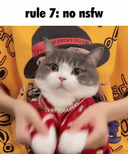 Rule 7 GIF