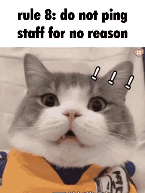 Rule 8 GIF